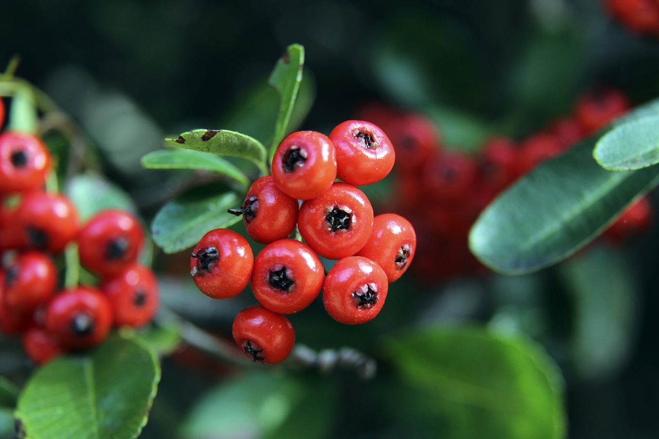 疫情带来的 疫情带来的