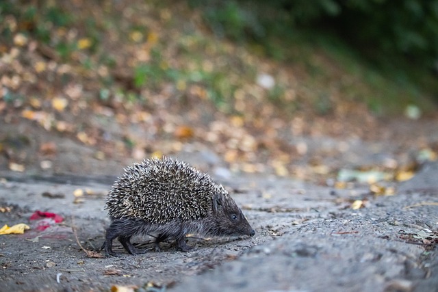 同時在家門 同時在家門