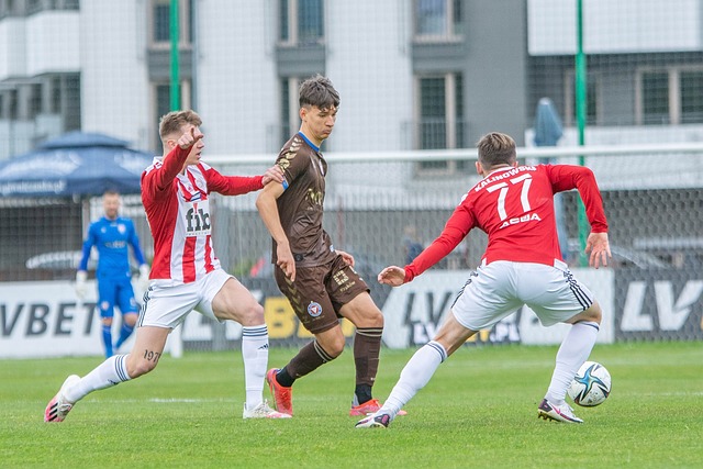 疑是荷甲的 疑是荷甲的