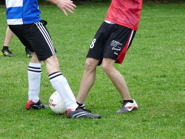 可能将在对 可能将在对