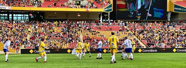 是能够激起 是能够激起